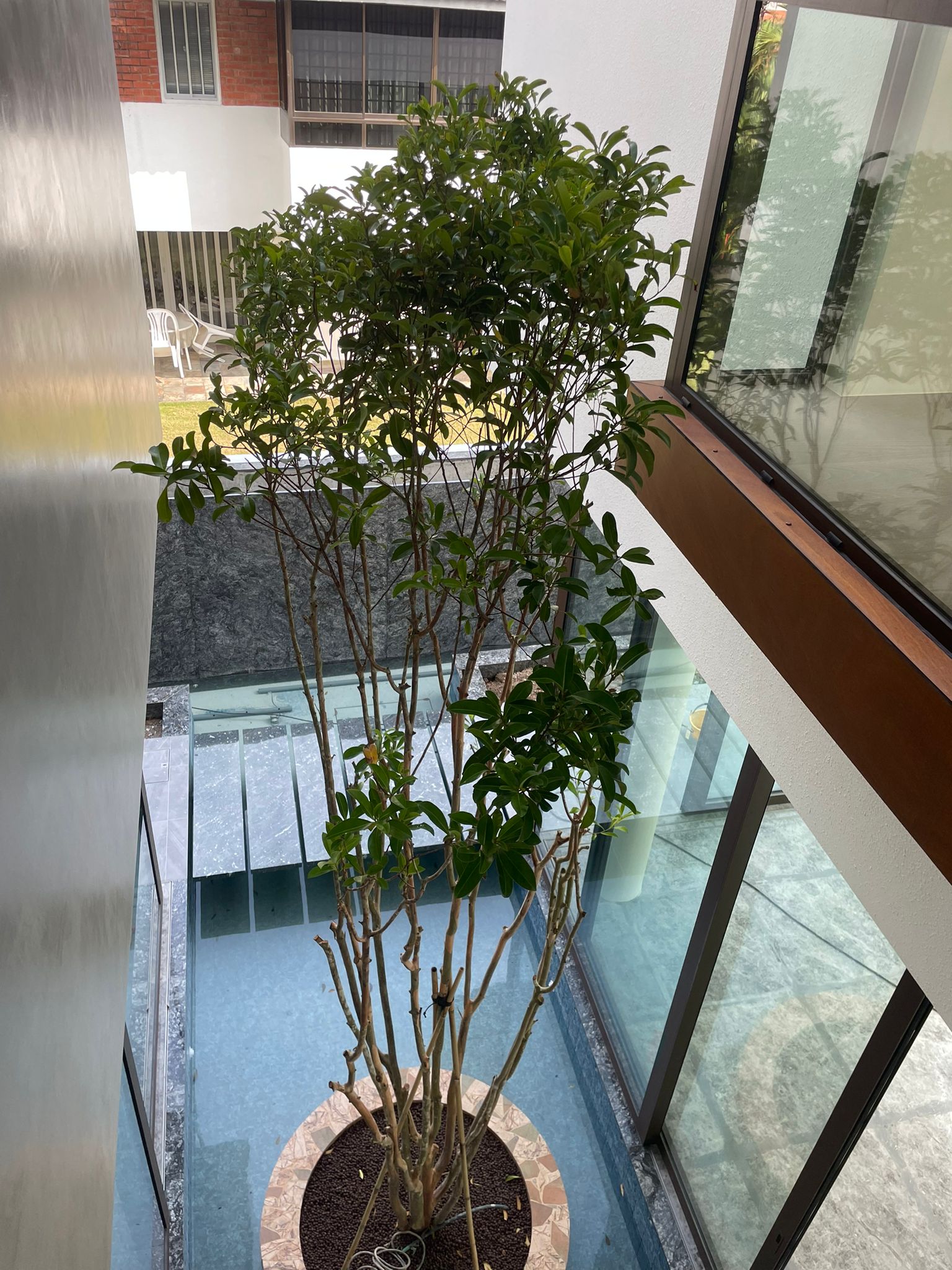 WhatsApp Image 2024-03-22 at 4.56.16 PM